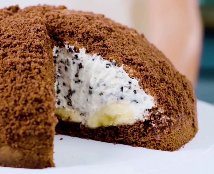 dr oetker krtkuv mole cake