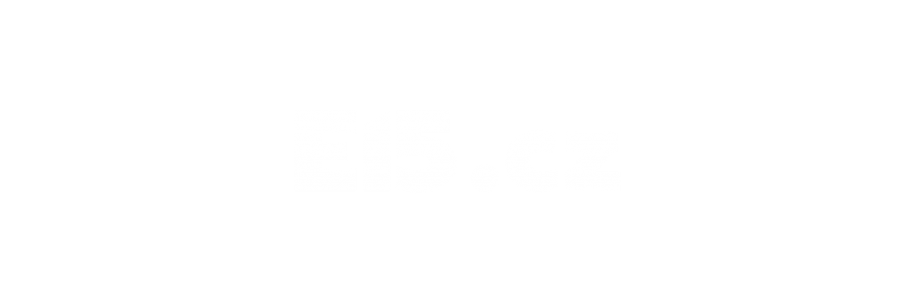 E15 logo white