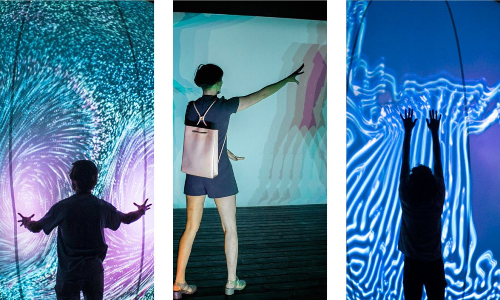 interactive screen installations