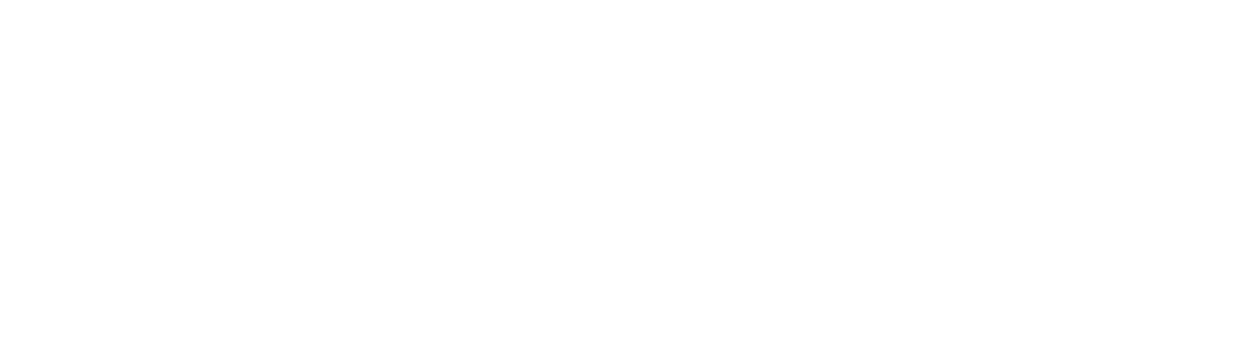 Interactive AI Experience • Copado